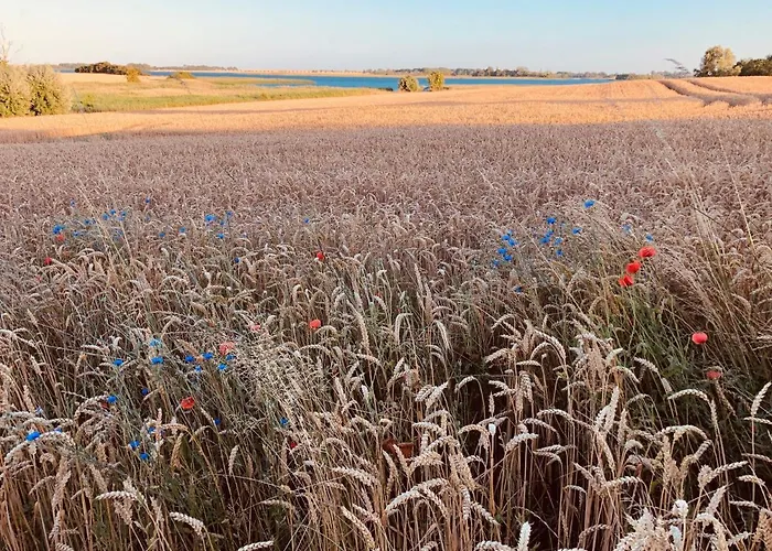 Zur Schoritzer Wiek *