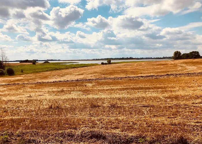 Zur Schoritzer Wiek Appartement